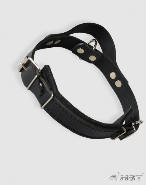 PO37 collar de proteccion cuero